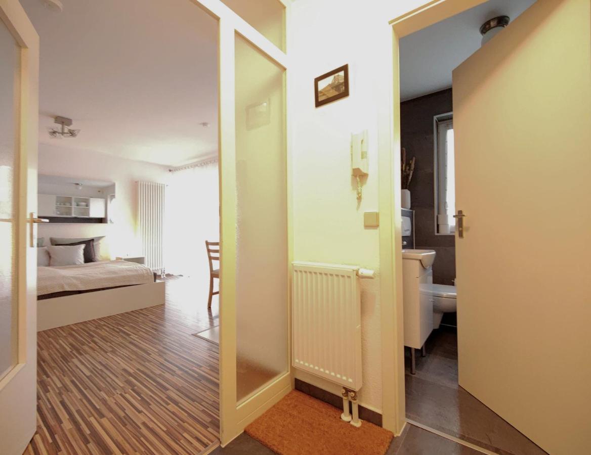 דרזדן Gemuetliche Ferienwohnung In Ruhiger Lage מראה חיצוני תמונה