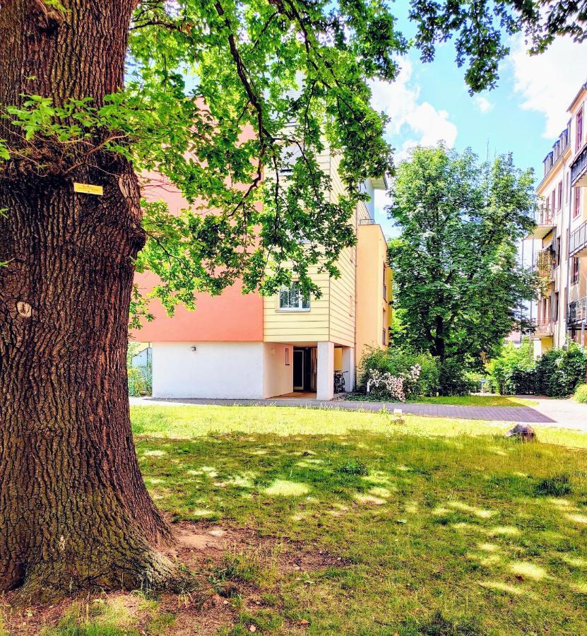 דרזדן Gemuetliche Ferienwohnung In Ruhiger Lage מראה חיצוני תמונה